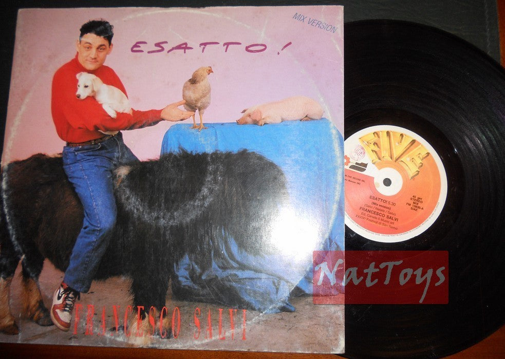12" 33 RPM Francesco Salvi ESATTO ! (Italie 1989, FIVE RECORD MIX FM 13830) VG/VG