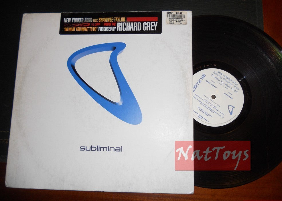 12" 33 tours New Yorker Soul avec Shawnee Taylor FAITES CE QUE VOUS VOULEZ FAIRE 2001 EX/EX