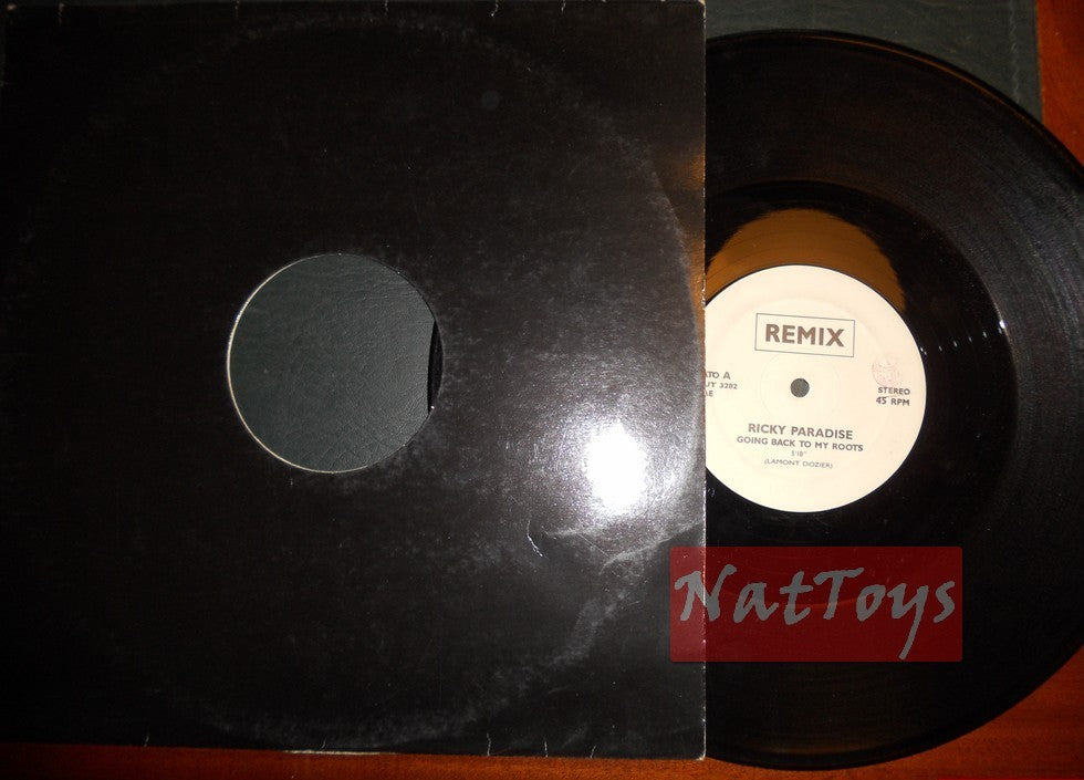 12" 33 RPM Ricky Paradise GOING BACK TO MY ROOTS (Italy REMIX OUT 3282) - VG/EX