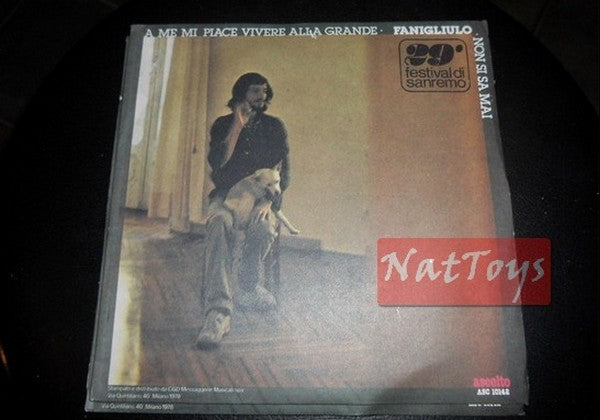 7" 45 RPM Fanigliulo J'AIME VIVRE GRAND/ON NE SAIT JAMAIS Sanremo 79