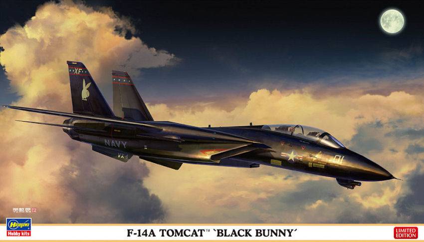 KIT DE MONTAGE À L'ÉCHELLE COMPATIBLE AVEC LE KIT F-14A TOMCAT BLACK BUNNY 1:72 HASEGAWA HA02377