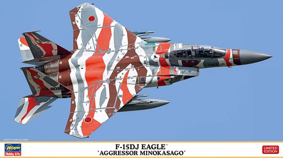 KIT DE MONTAGE À L'ÉCHELLE COMPATIBLE AVEC LE KIT MINOKASAGO F-15DJ EAGLE AGRESSOR 1:72 HASEGAWA HA02415