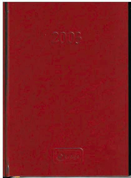 LIBRO MODELLINI AGENDA BURAGO 2003 COPERTINA IN PELLE BURAGO BUCAT2003AG