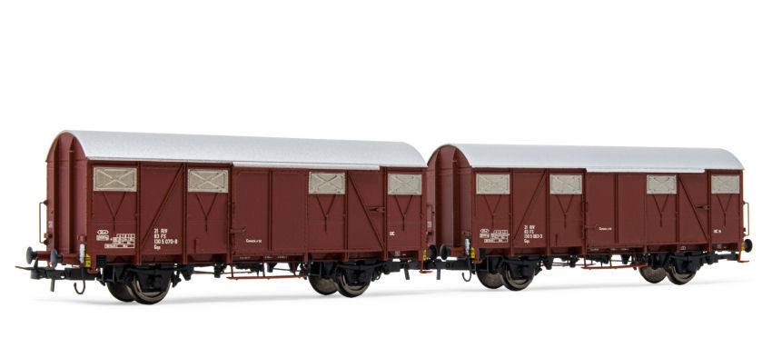 SCALE MODEL COMPATIBLE WITH FS 2 UNITS OF GA FLAT-WALLED WAGONS ERA IV-V 1:87 RIVAROSSI HR6505