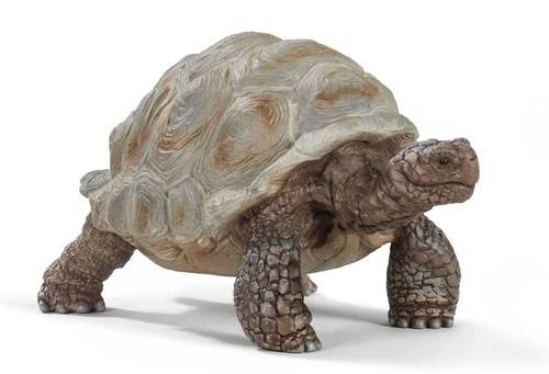 MODELLINO IN SCALA COMPATIBILE CON TARTARUGA GIGANTE FIGURE 3D
SCHLEICH SCH14824 FIGURE 3D