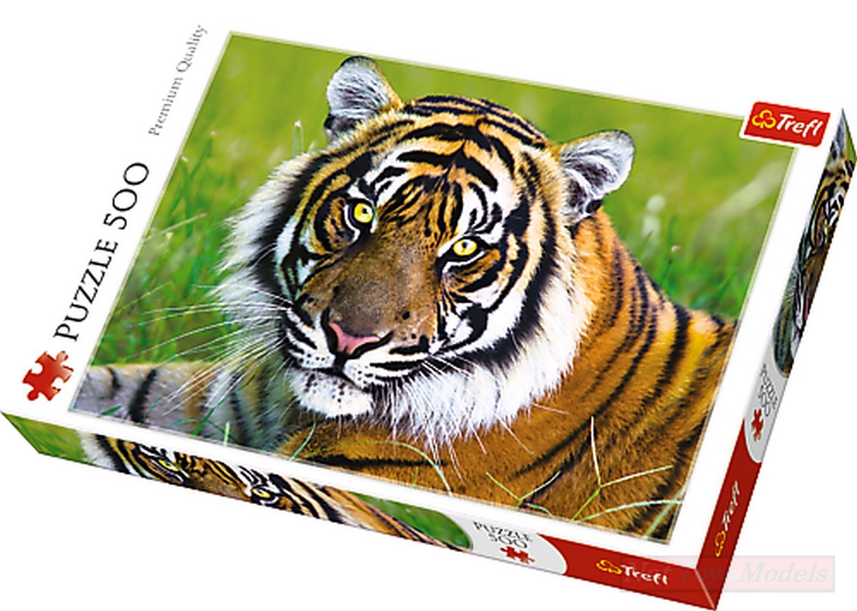 TRF37192 Tiger - Tiger PUZZLE 500 pieces