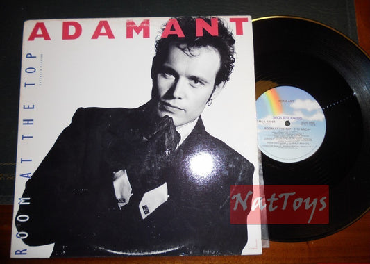 12" 33 TR/MIN Adam Ant SALLE AU SOMMET (USA 1989 MCA RECORDS MCA-23964) - EX/NM