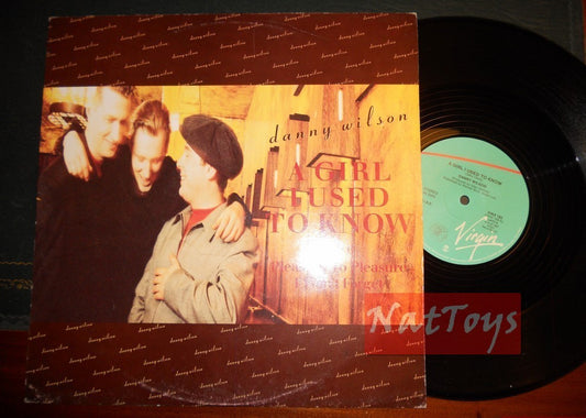 12" 33 tours Danny Wilson UNE FILLE QUE JE CONNAISSAIS (Italie 1987, VINX 193) - EX/NM