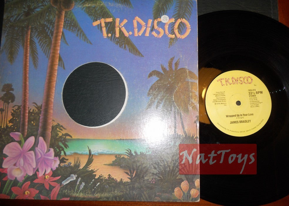 12" 33 RPM James Bradley LET'S PAINT THE TOWN/WRAPPED UP IN YOUR LOVE '79 VG/EX