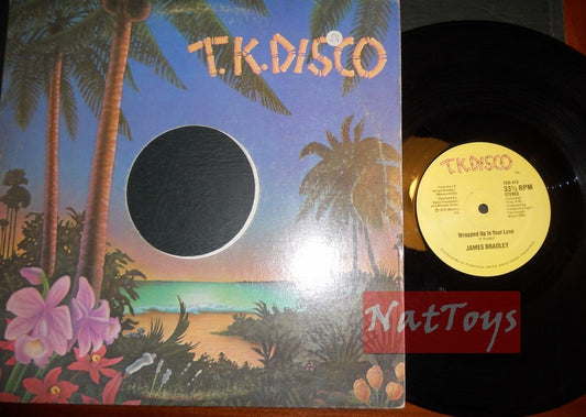 12" 33 RPM James Bradley LET'S PAINT THE TOWN/WRAPPED UP IN YOUR LOVE '79 VG/EX