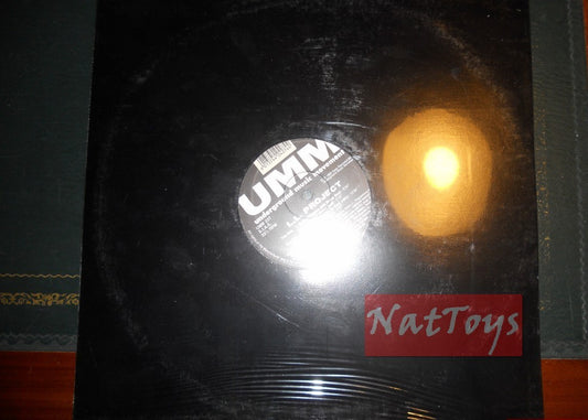 12" 33 RPM LL Project WORK IN PROGRESS (Italy 1995, UMM 227) - NM/NM