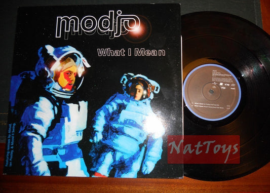 12" 33 RPM Modjo CE QUE JE VEUX (Italie 2001, RISE 158) - NM/NM