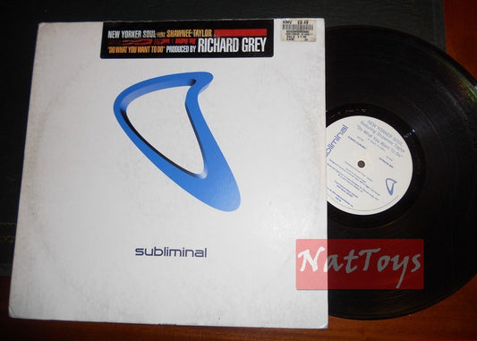 12" 33 tours New Yorker Soul avec Shawnee Taylor FAITES CE QUE VOUS VOULEZ FAIRE 2001 EX/EX