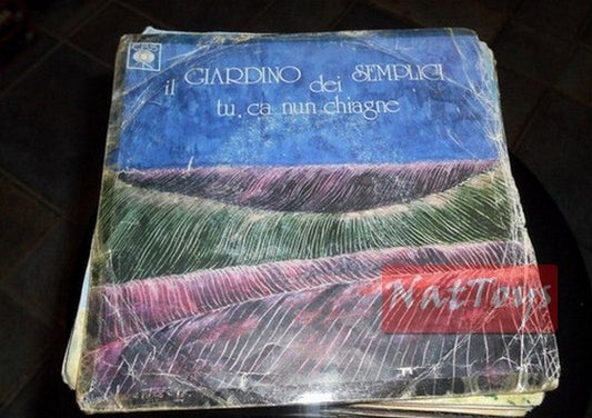 7" 45 GIRI Il Giardino dei Semplici TU, CA NUN CHIAGNE/UNA STORIA 1975 - VG/VG