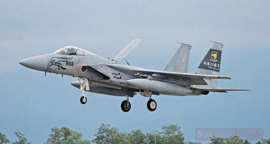 KIT DE MONTAGE À L'ÉCHELLE COMPATIBLE AVEC LE KIT 35ème ANNIVERSAIRE F15J EAGLE 306SQ 1:72 HASEGAWA HA02226