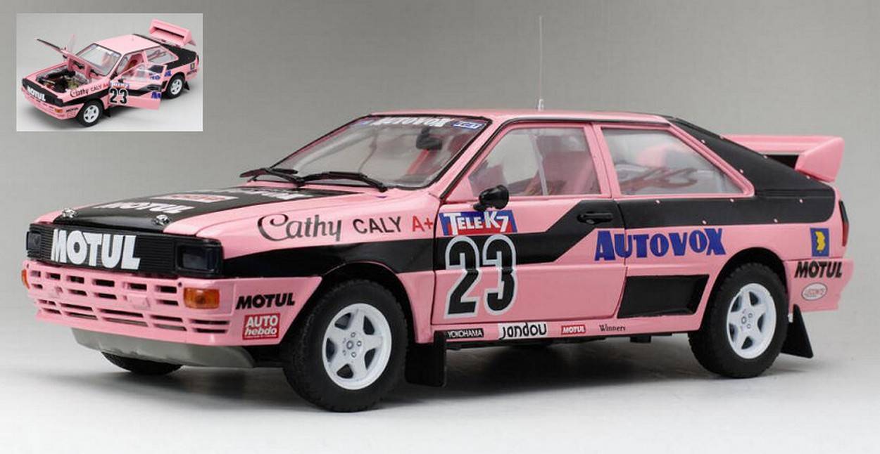 MODELE REDUIT COMPATIBLE AVEC AUDI QUATTRO N.23 RALLYCROSS FRANÇAIS 1987 CATHY CALY 1:18 SUNSTAR SS4251