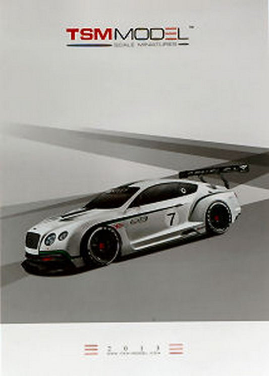 CATALOGUE DE MODÉLISATIONS MINIATURES À ÉCHELLE RÉELLE 2013 PAGE 50 MINIATURES À ÉCHELLE RÉELLE TSMCAT2013