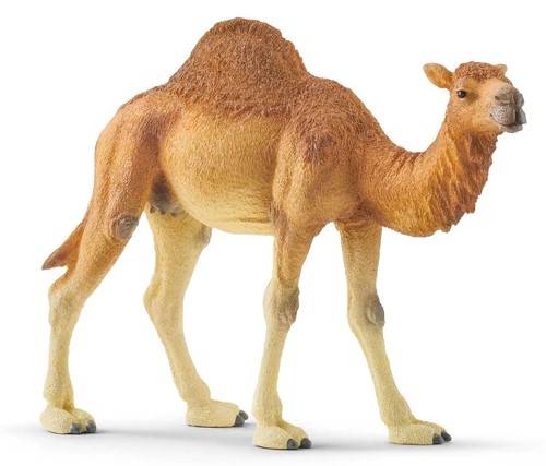 MODELLINO IN SCALA COMPATIBILE CON DROMEDARIO SCHLEICH SCH14832 FIGURE 3D MODEL