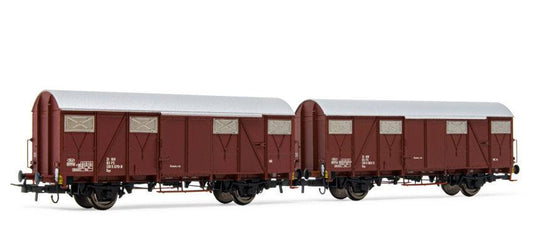 SCALE MODEL COMPATIBLE WITH FS 2 UNITS OF GA FLAT-WALLED WAGONS ERA IV-V 1:87 RIVAROSSI HR6505