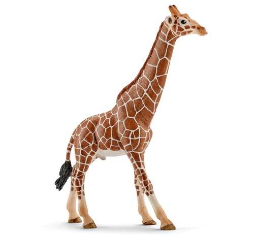 MODÈLE RÉDUIT COMPATIBLE AVEC LA GIRAFE MÂLE
 SCHLEICH SCH14749 MOULÉ SOUS PRESSION